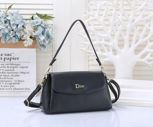 DlOR Handbags 056